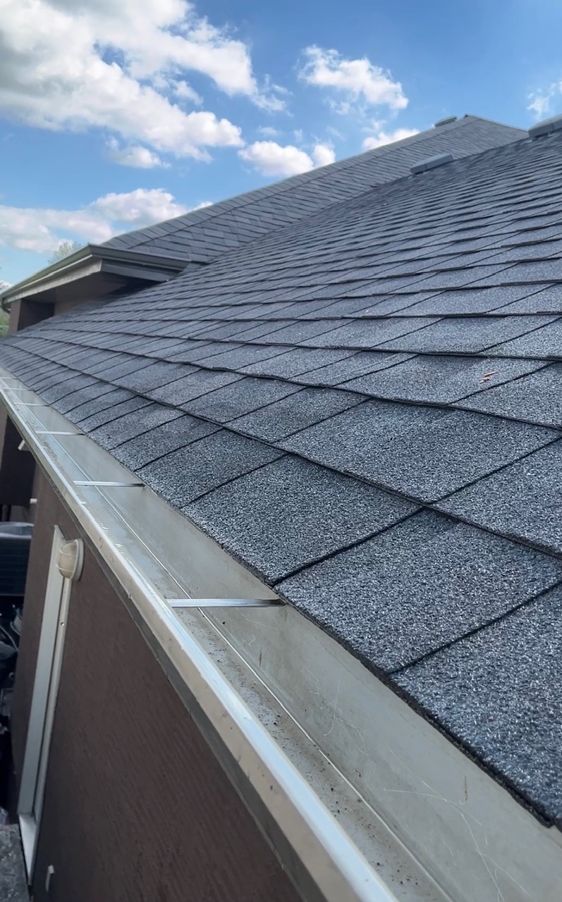 Gutter cleaning service